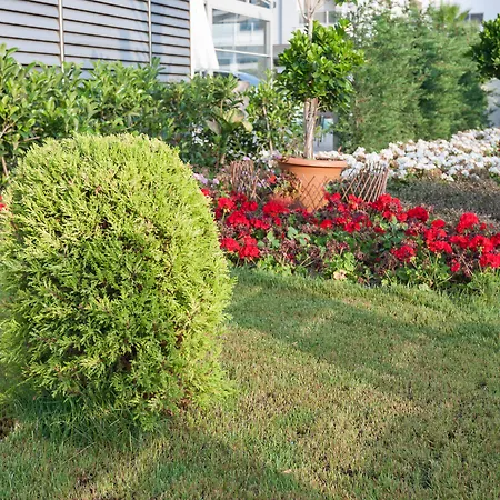 ホテル Graf Victor マフムトラール