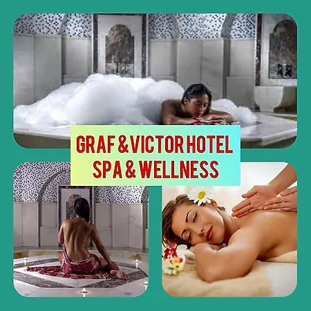 Graf Victor 酒店 4*